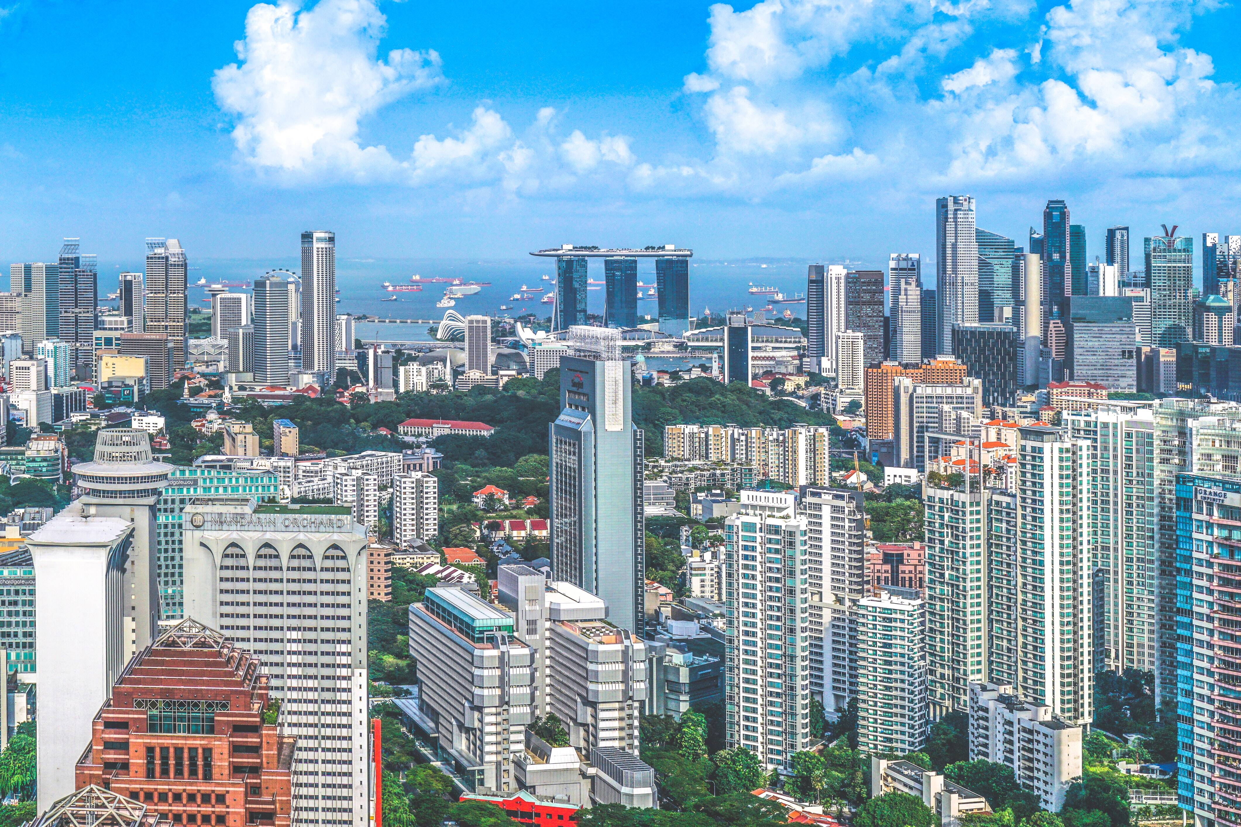 Singapore Chameleon Office Singapore Chameleon Office