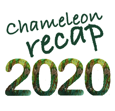Chameleon Recap 2020 Chameleon Recap 2020
